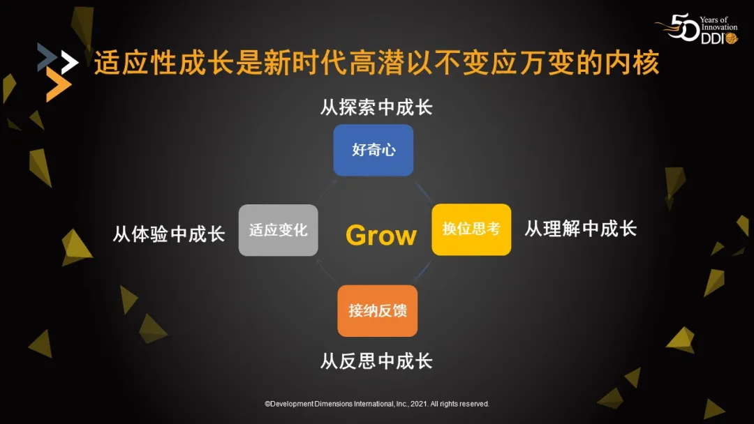DDI 適應性成長.jpg